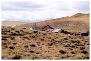 04 - Bodie (12)